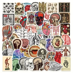 W240 Naklejki STICKER BOMB WLEPY wlepki ANATOMIA medycyna ciało 50szt