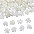 PER28 Koraliki akrylowe perłowe róża róże 12mm płaski spód białe kremowe 20szt