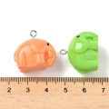 ZAW277 Zawieszki z żywicy 22mm słoń SŁONIK słonie na szczęście 5szt mix