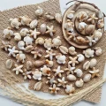 KOK210 Koraliki BOHO MORSKIE OCEAN rybka muszle rozgwiazda muszelka miks 10sz