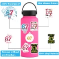 W256 Naklejki STICKER BOMB WLEPY wlepki 67 six seven sześć siedem 61szt