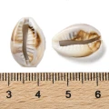 KOK230 Koraliki BOHO MORSKIE OCEAN muszle kauri muszelka 10szt