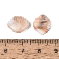KOK231 Koraliki BOHO MORSKIE OCEAN muszle muszelka wypukła 20szt