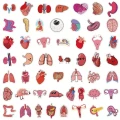 a49a5eb047a973b238dbe9e83a72e373.png