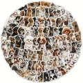1709799033027-b786bb4bf5e1478c88f8b99d85670c34-goods.png