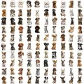 1709799027271-cbde5924dd194e1b83f342be42ecc4c5-goods.png