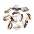 Koraliki BOHO MORSKIE OCEAN muszle kauri muszelka