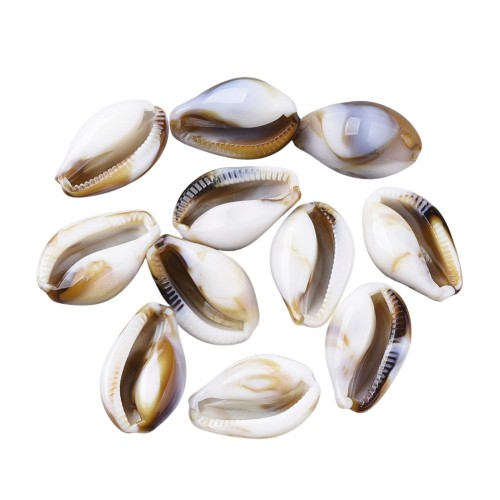 Koraliki BOHO MORSKIE OCEAN muszle kauri muszelka