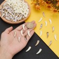 Zawieszki koralik akryl KŁY kieł ząb zęby 23mm kawowe i białe 10szt zestaw