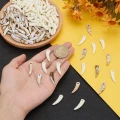 Zawieszki koralik akryl KŁY kieł ząb zęby 23mm kawowe i białe 10szt zestaw