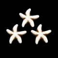 AKR14 Koraliki akrylowe morskie ocean rozgwiazda imitacja kamienia 10szt