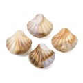 Koraliki BOHO MORSKIE OCEAN muszle muszelka wypukła 17mm 5szt