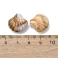 Koraliki BOHO MORSKIE OCEAN muszle muszelka wypukła 17mm 5szt