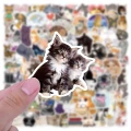 Naklejki STICKER bomb WLEPY KOTY kotki zabawne kotek 100szt