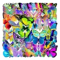 Naklejki winylowe STICKER bomb WLEPY wlepki MOTYL motyle owady 50szt