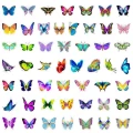 Naklejki winylowe STICKER bomb WLEPY wlepki MOTYL motyle owady 50szt