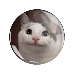 PRZ229 Przypinka button badzik kot kotek memy zabawny 58mm L