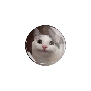 PRZ230 Przypinka button badzik kot kotek memy zabawny 32mm M