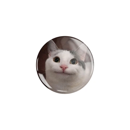PRZ230 Przypinka button badzik kot kotek memy zabawny 32mm M