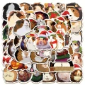 fe73211ca78d505deb547bd648d9d192.png