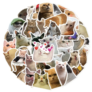 W67 Naklejki STICKER BOMB WLEPY wlepki ŚMIESZNE KOTY MEMY z MEMÓW KOT 50szt
