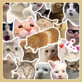 bdafd6642d396094003e0bb7c26c59ec.png