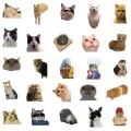 0ffc1e67ba24b48536d0fb151c2e2599.png
