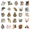 e3818d089829f39c8dea0e1fdc4248c2.png