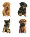 image (27).png