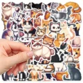 8c9bdd57-a639-412a-947d-1f295e97.png