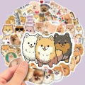 d09aad0f-ce1a-4db5-8c91-519e5299.png