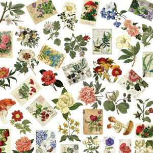 W210 Naklejki STICKER WLEPY PRZEZROCZYSTE Vintage Retro Rośliny 50szt